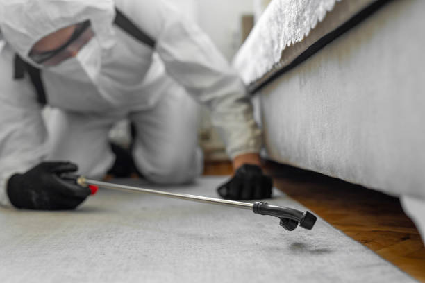 Professional Cockroach Control technician working in Tomahawk, WI